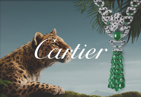 Cartiercard Landingpage 1